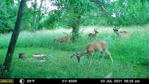 b1a9f4f6-f347-43f9-9426-2b4bff54177e