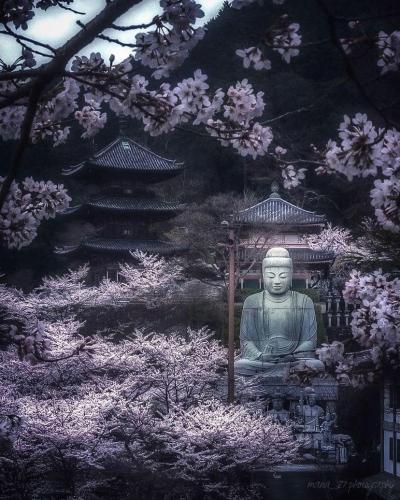 277521570_524809165681757_3781464754531773247_n