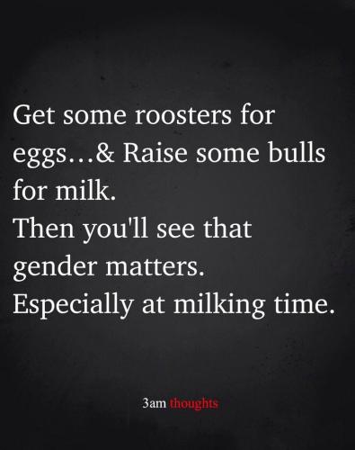 278575512_2268321140003439_6784249863339964115_n