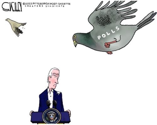 0944F671-77F5-4827-A877-9FD0AD6AC38F-21688-000021F4676033AB