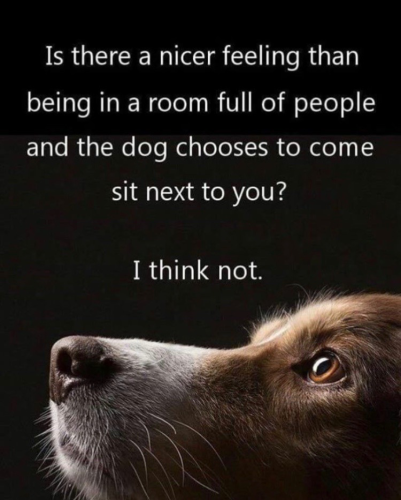 08:54:54 GMT-0500 (CDT)