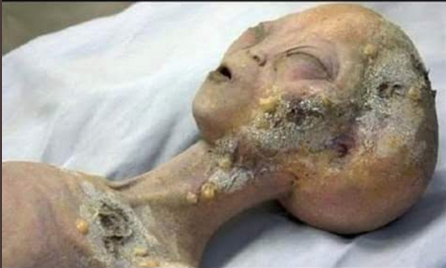 Screen Shot 2021-07-27 at 12.48.53 PM