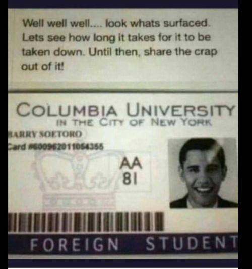 92bdc6d3-a8c1-4268-9419-2154cd061478