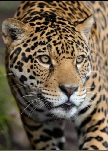 tumblr_5fb31fb468a2e8d428548e5fbd531779_e4a39492_540