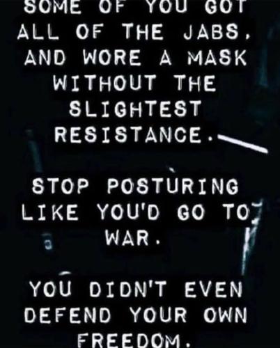 Mindlessness Plandemic