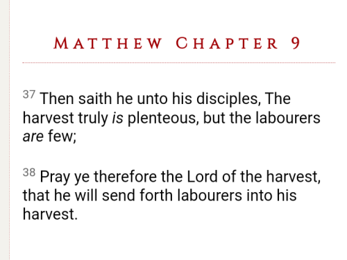 Screenshot_20220404-090053-506