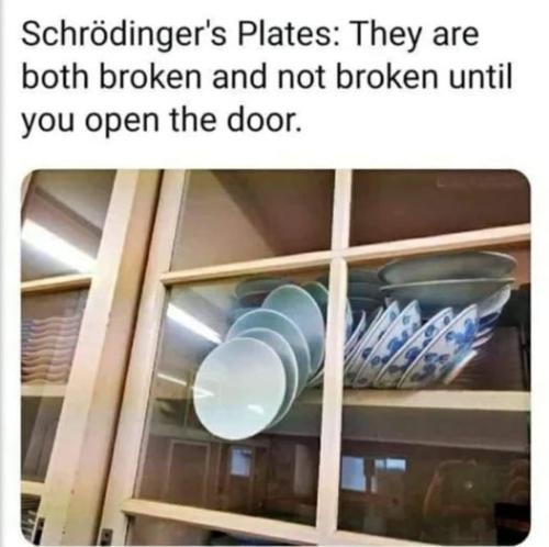 SchrodingersBowls
