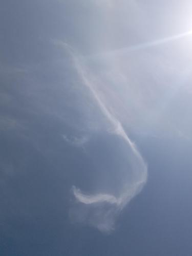 ba12b22b-74de-4f69-a60b-a6648d7899f9