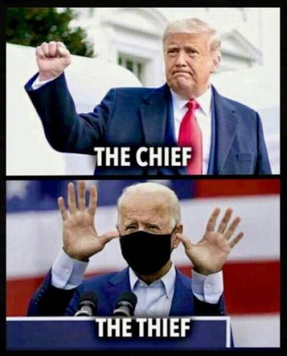 voterfraud313