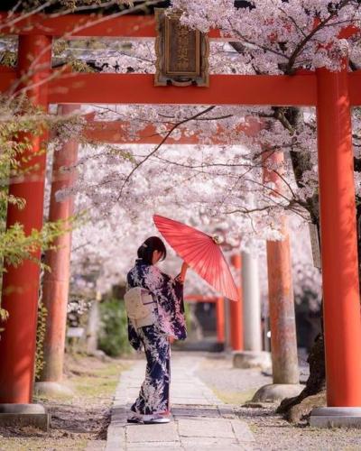 277097538_3184717611799452_2187130476675665193_n