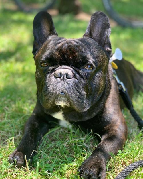 37FE93A1-59FD-4509-988C-5264CD55DF93