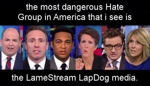 the most dangerous Hate Group in America that i see is the LameStream LapDog media