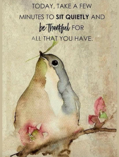 Screenshot_2022-04-26-17-44-55_kindlephoto-313387853