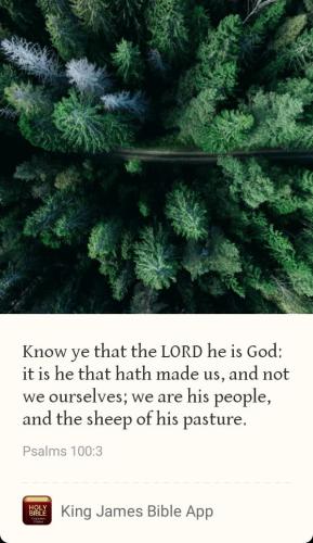 11519c0c-c67f-4e5e-b296-e863776e1cce