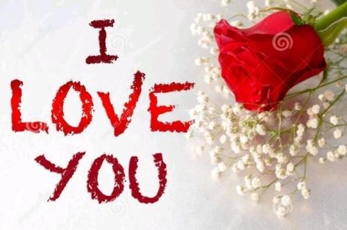 9b14cf66-e56d-4947-b15a-7f5df2792ca6