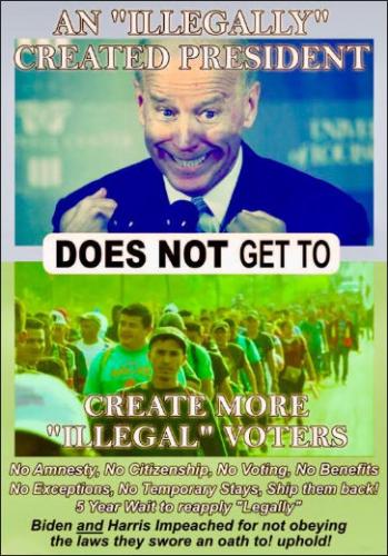 illegal immigration278
