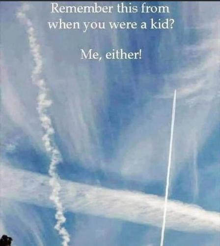 293dec9f-8cbd-458e-a47e-f2e23c382811