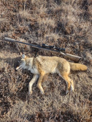 d8de70bf-0614-478e-a3d5-666707a82c23