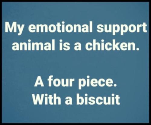 tumblr_fc4740e3818625ecf8e12ac143a01b20_69d5c3ff_540