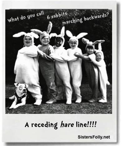 01 Receding Hare Line