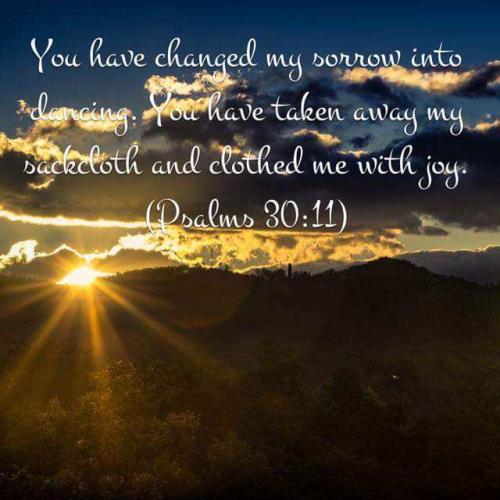 8995c795-9616-45fb-b81f-75f7981565b0