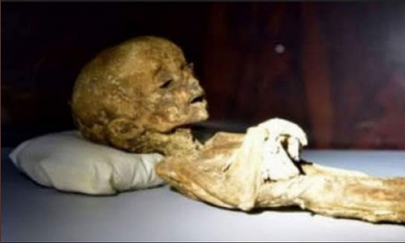 Screen Shot 2021-07-27 at 12.52.06 PM