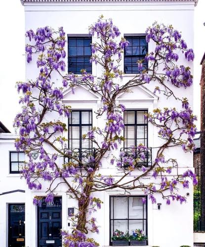 Flowers as art on French home