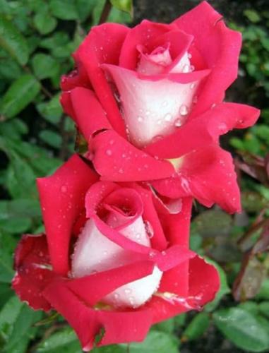 21:51:07 GMT-0500 (CDT)