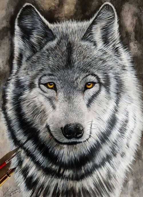 102857f4-9f1f-42f7-be08-07eda1677efb