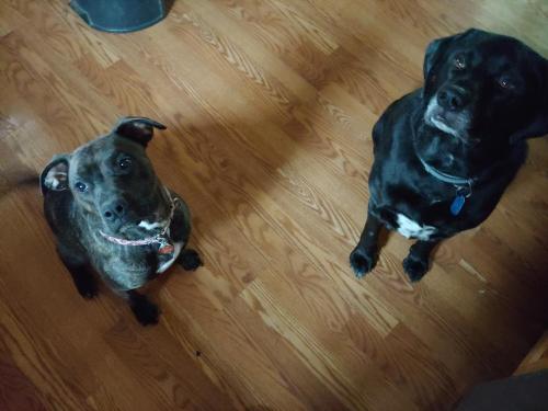 4e030dc9-d703-486d-8372-55b126e80370