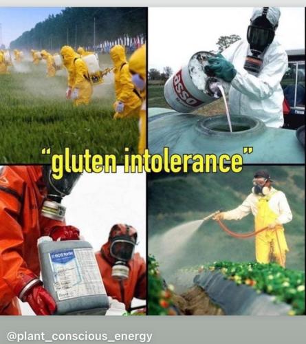 21:10:29 GMT-0400 (EDT)