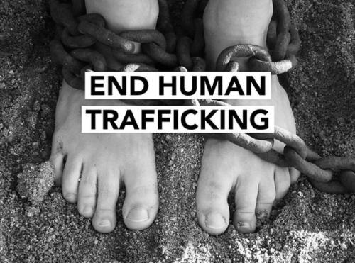 10c3c4b9-13ea-48af-9247-a2f119d67df7