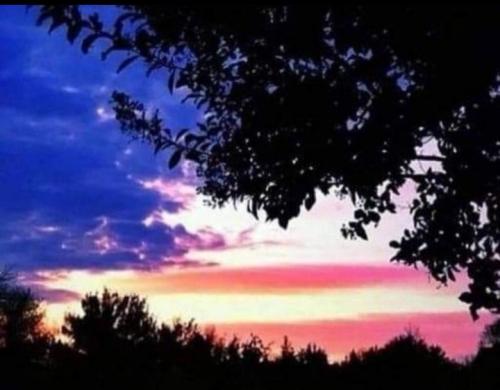 Screenshot_20220421-223256_Wimkin Uncensored