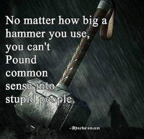 c0a07eb3-21c5-4362-aaaa-f04e0c628ee4