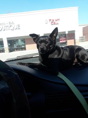 12:21:40 GMT-0400 (EDT)