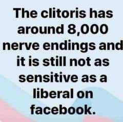 3e315d021ea76e5084f33df9b36f1867_1024