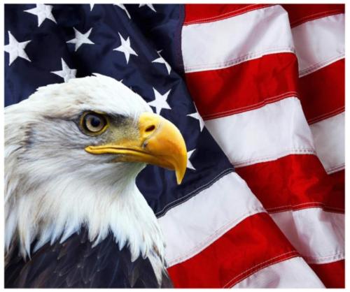 b314597f-7ef8-41f8-9cc3-3170f857612b