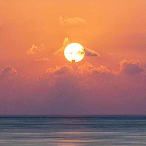 335ebbe6-def1-42b7-97f2-370ae1f354e4