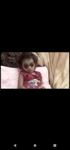 bed8a20a-9314-47bf-91cb-1b986d7cb4da