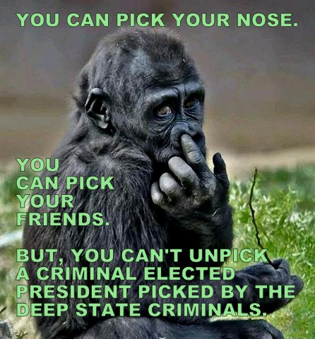 af71a83bc95e53318e8905b20d6caeea