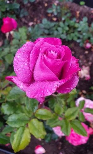 08:57:56 GMT-0500 (CDT)