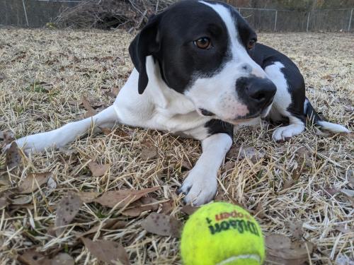 60404bdd-260c-49a2-9e6a-1ae5a4d57fb4