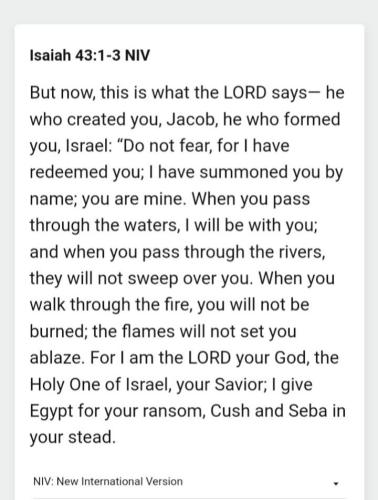 8eda4017-dd7e-43e8-b2e0-79f5a332168c