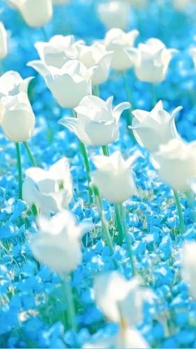 08:47:56 GMT-0500 (CDT)