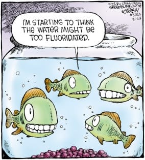 279136000_365486715619754_8216904193546710999_n