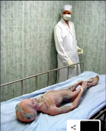 Screen Shot 2021-07-27 at 12.47.29 PM