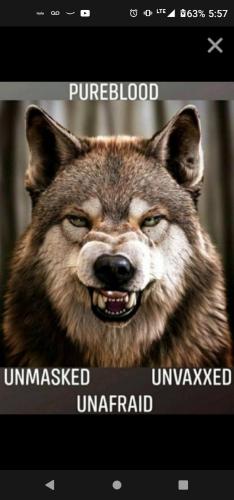 118902be-7878-4fee-80f1-ed554fdfd149