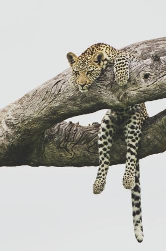 tumblr_m9vnejFzvM1rtitxmo1_640