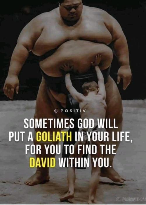 da323daa-14cc-4847-8018-150f7715ec2b