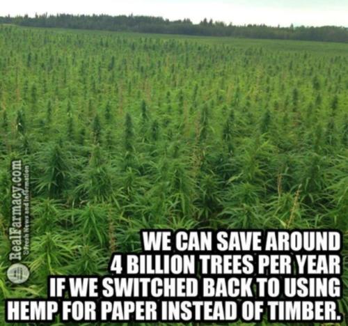 aea0378b-e3f0-4d51-a2d2-9106adb73c88